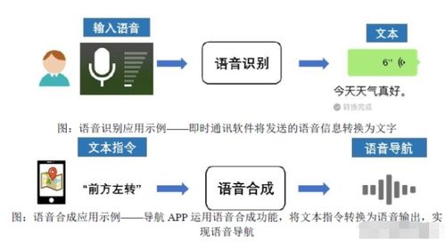 人工智能上游龍頭 語音基礎(chǔ)數(shù)據(jù)國內(nèi)第一，服務(wù)微軟的隱形冠軍