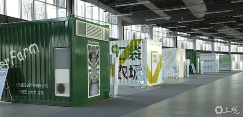 不再看天吃菜,142位青年學(xué)者比拼集裝箱里種生菜