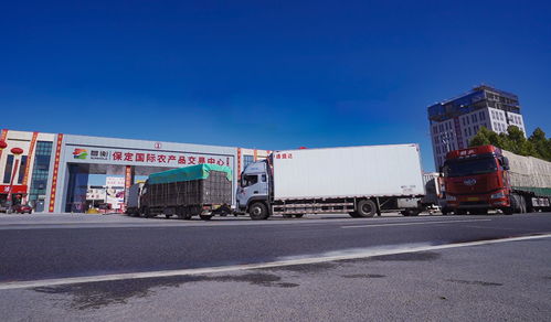 保定國(guó)際農(nóng)產(chǎn)品交易中心為區(qū)域民生保供提供有力支撐